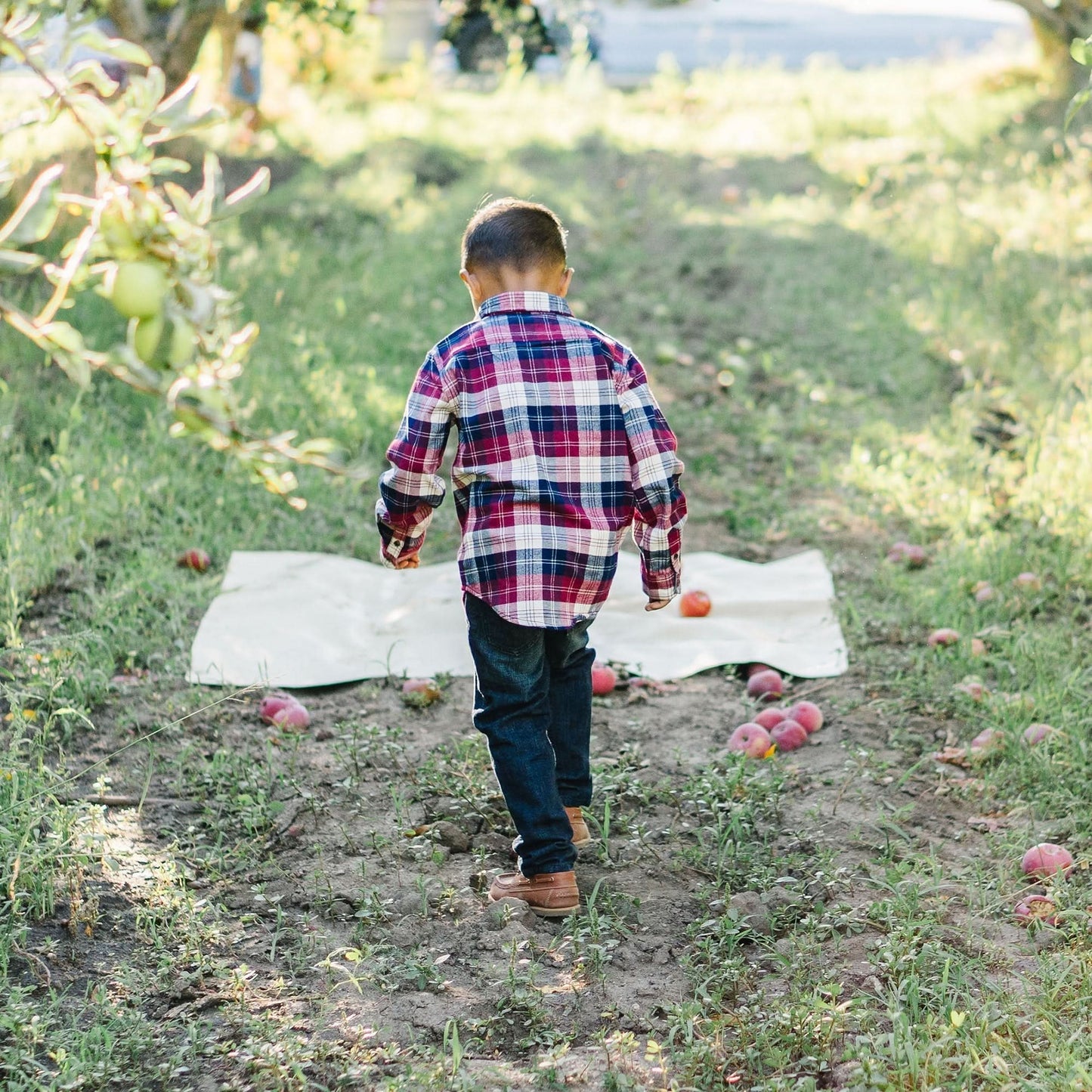 Brushed Flannel Organic Button Down Shirt - Baby