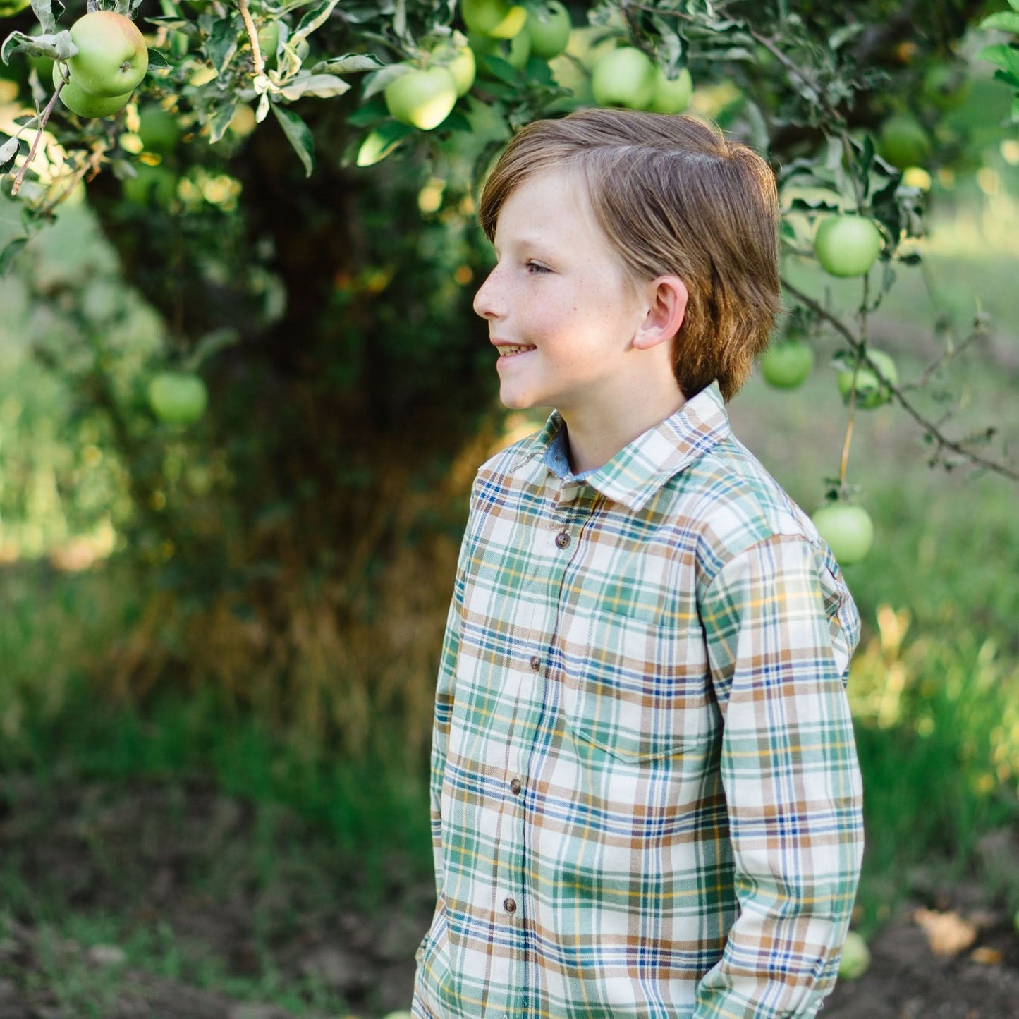 Brushed Flannel Button Down Shirt