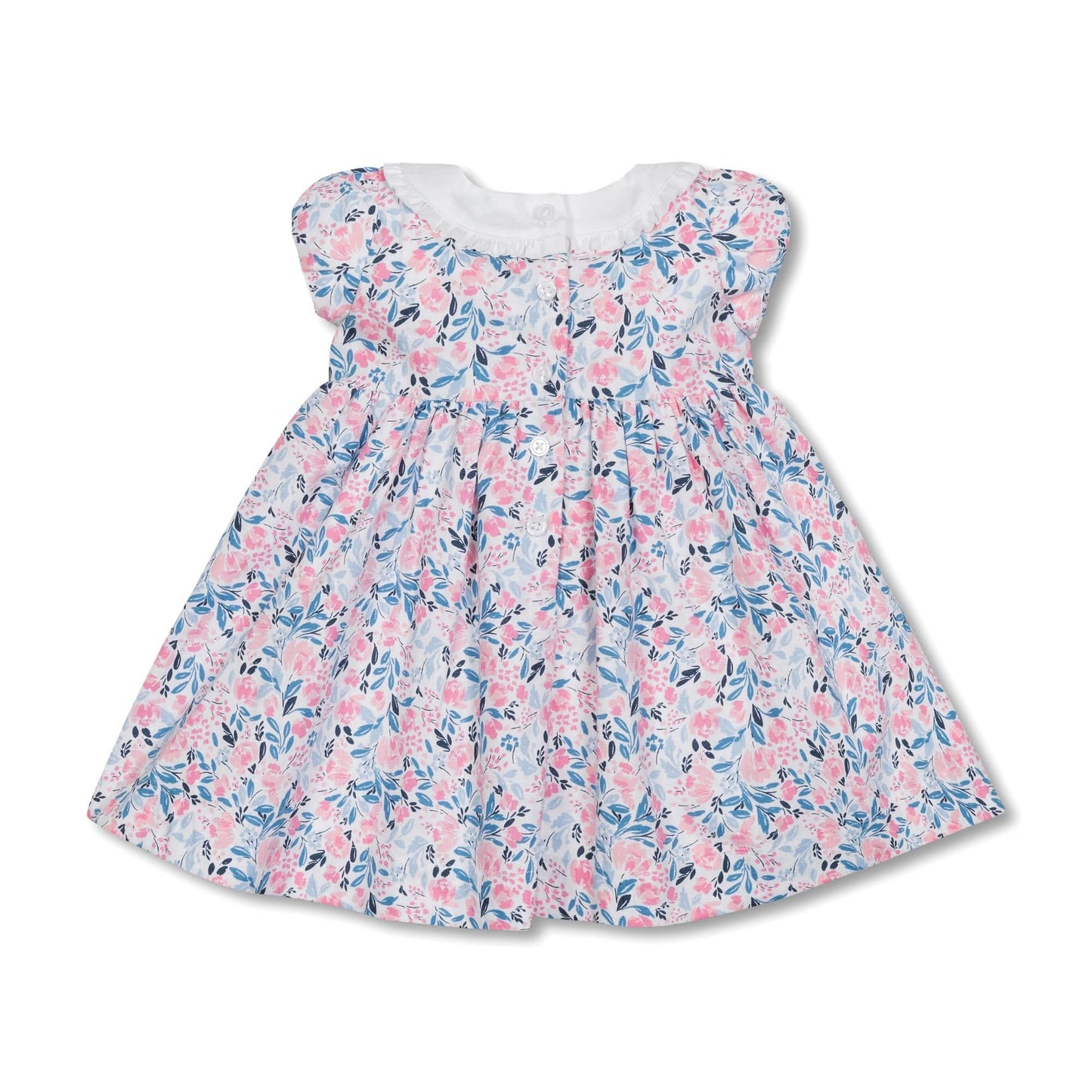 Linen Ruffle Collar Dress