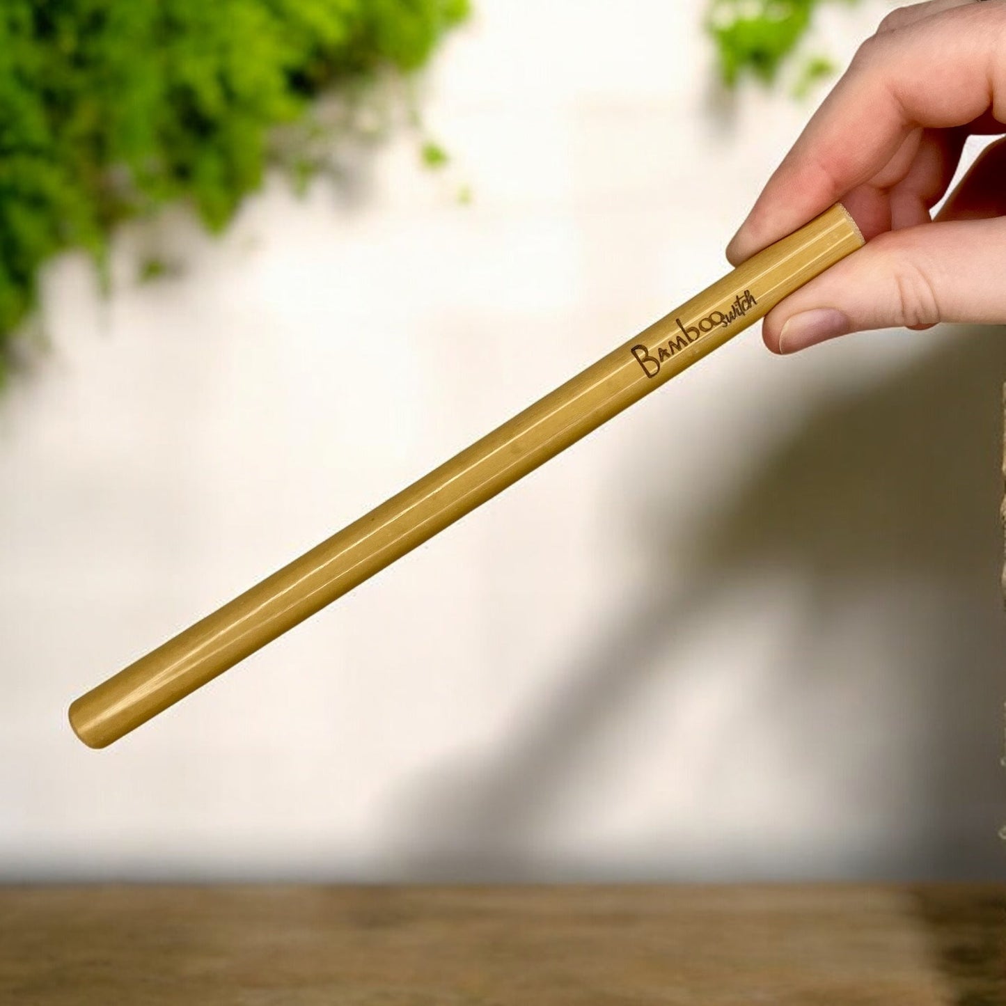 Bamboo Straw in Travel Case