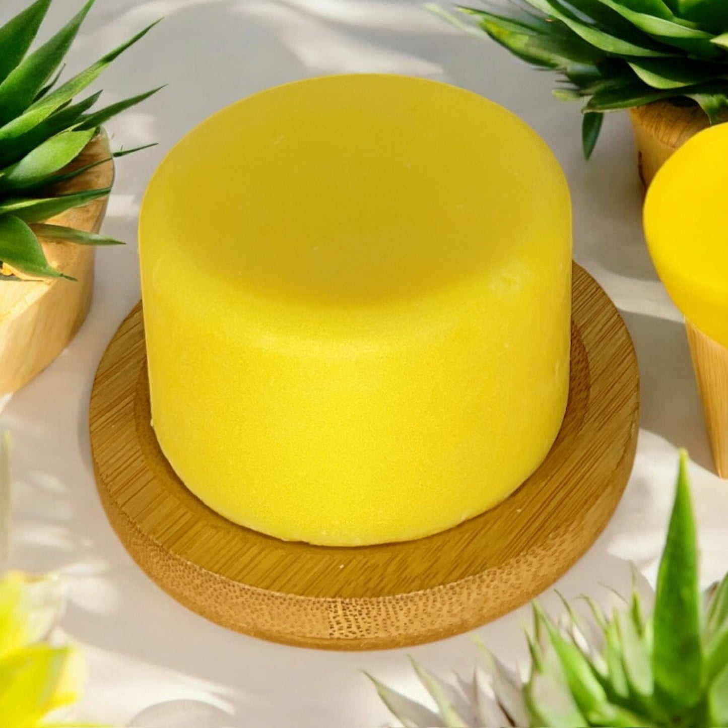 Shampoo & Conditioner | 2 in 1 | Turmeric