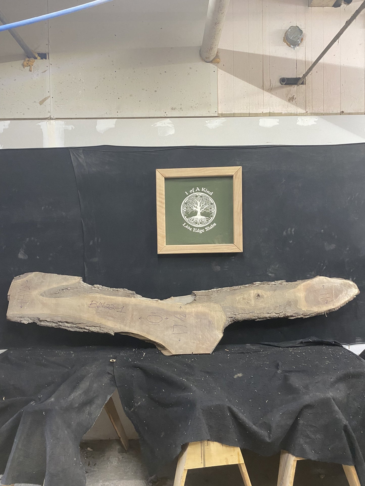 Live Edge Black Walnut Slab 101"Lx11-17"Wx1 1/2"T